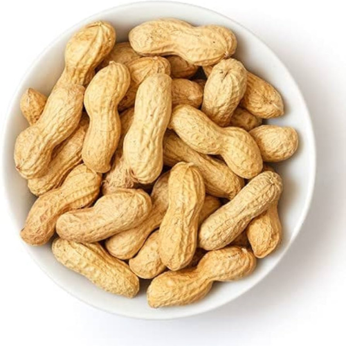 Groundnut Seeds