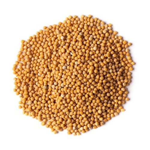 Mustard Seeds